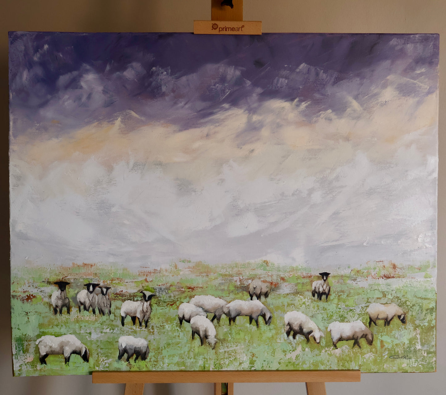 Shepherd's Field