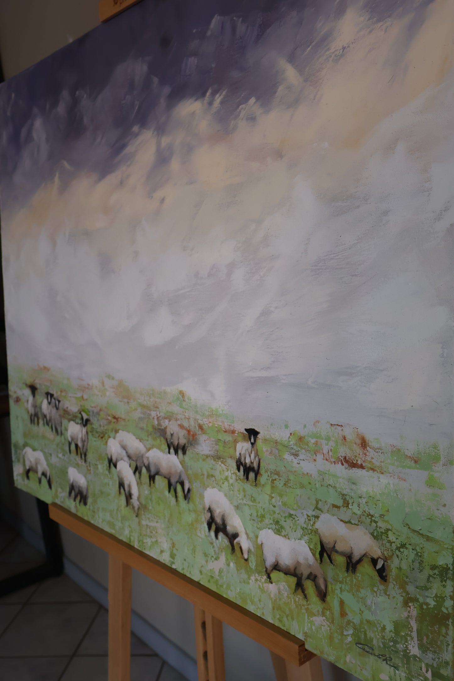 Shepherd's Field