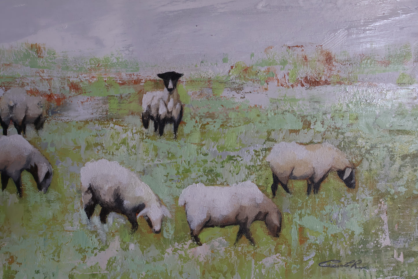 Shepherd's Field