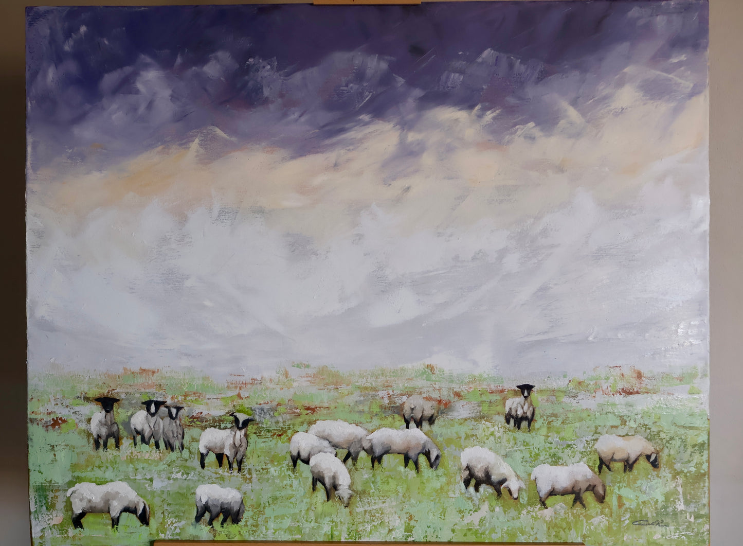 Shepherd's Field