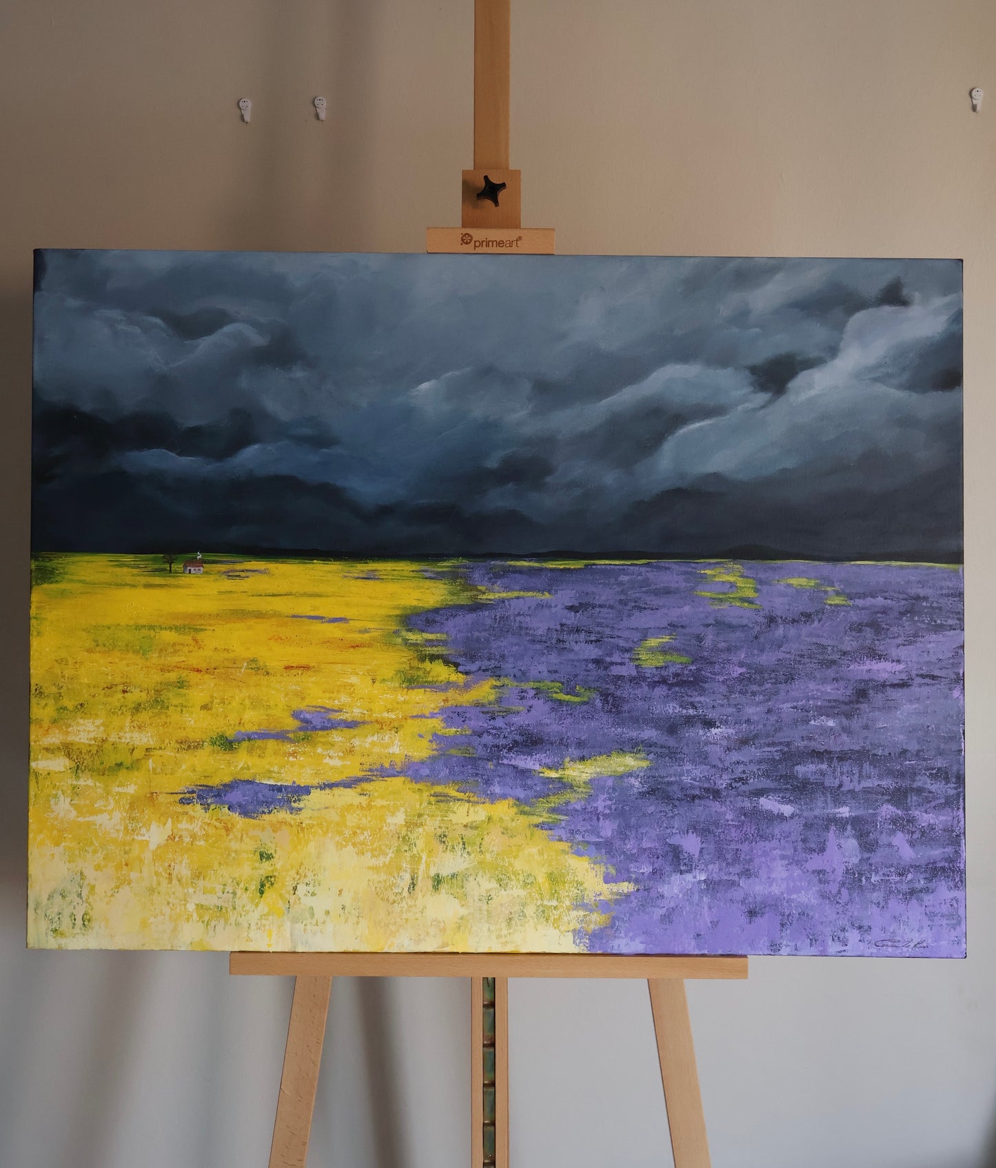 Stormy Field