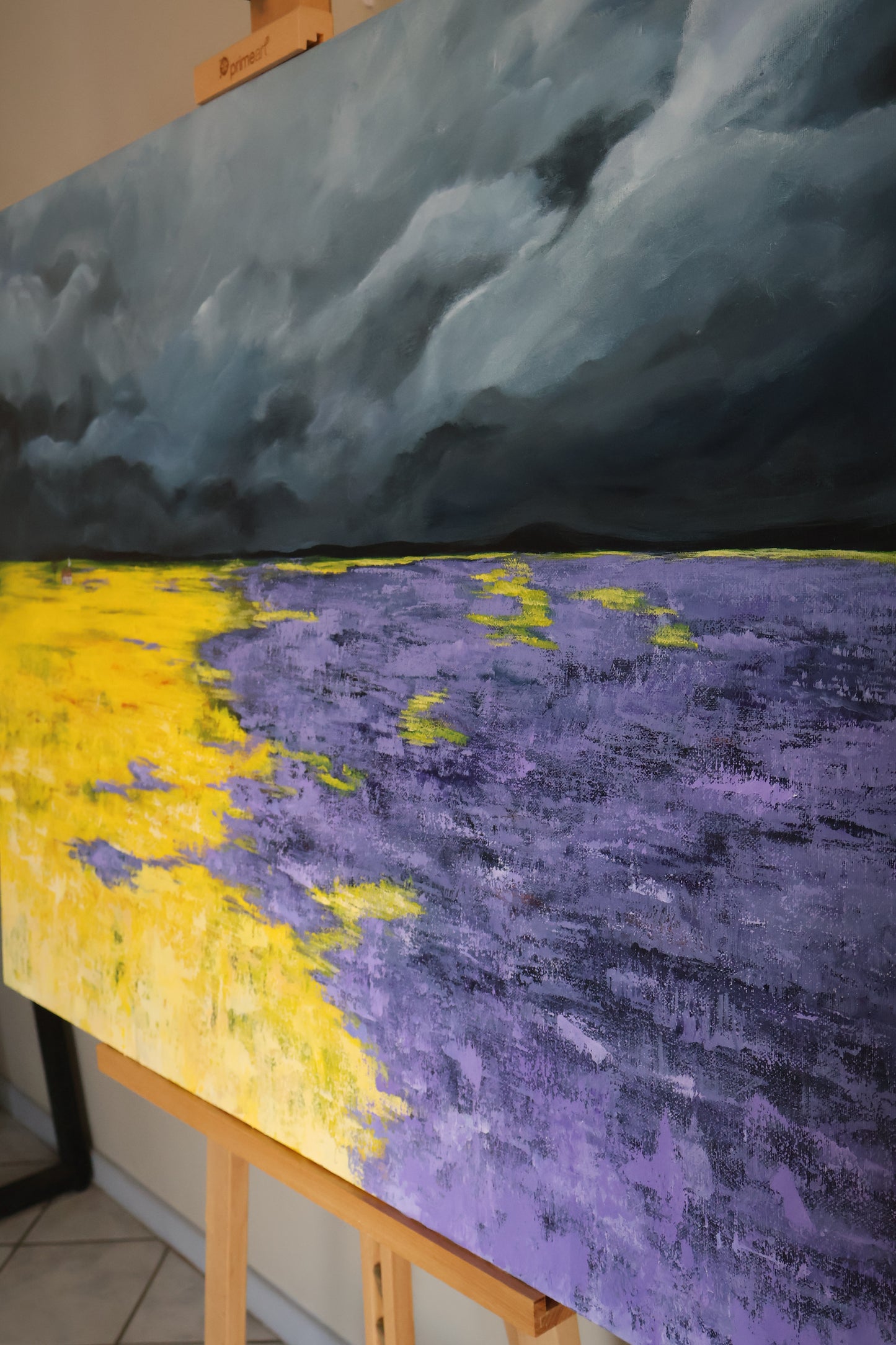Stormy Field