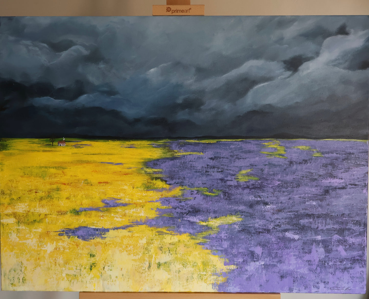 Stormy Field