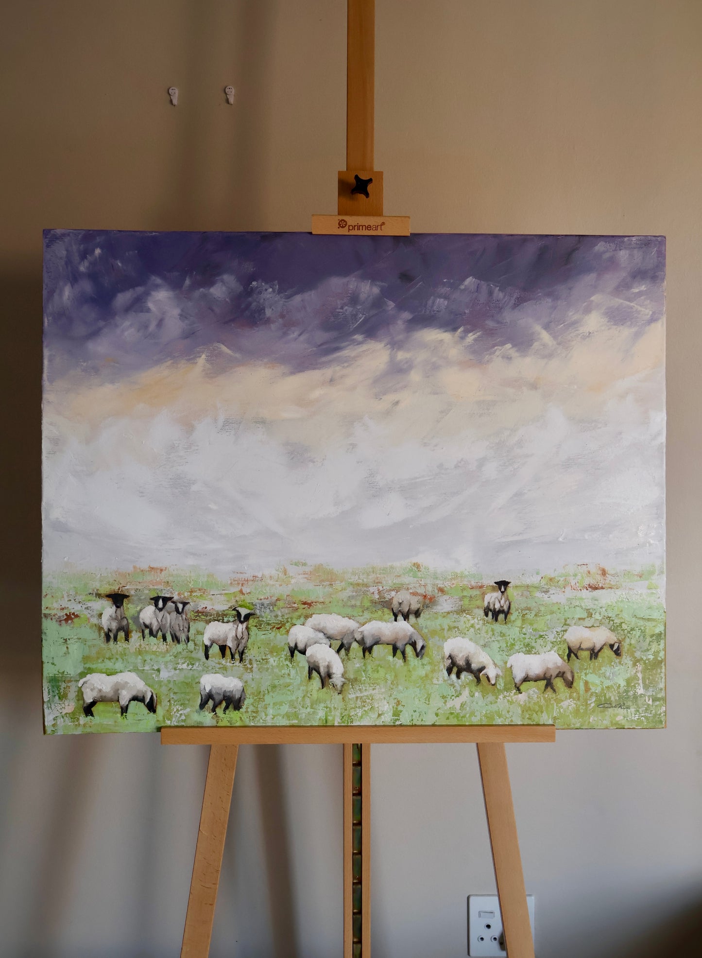 Shepherd's Field