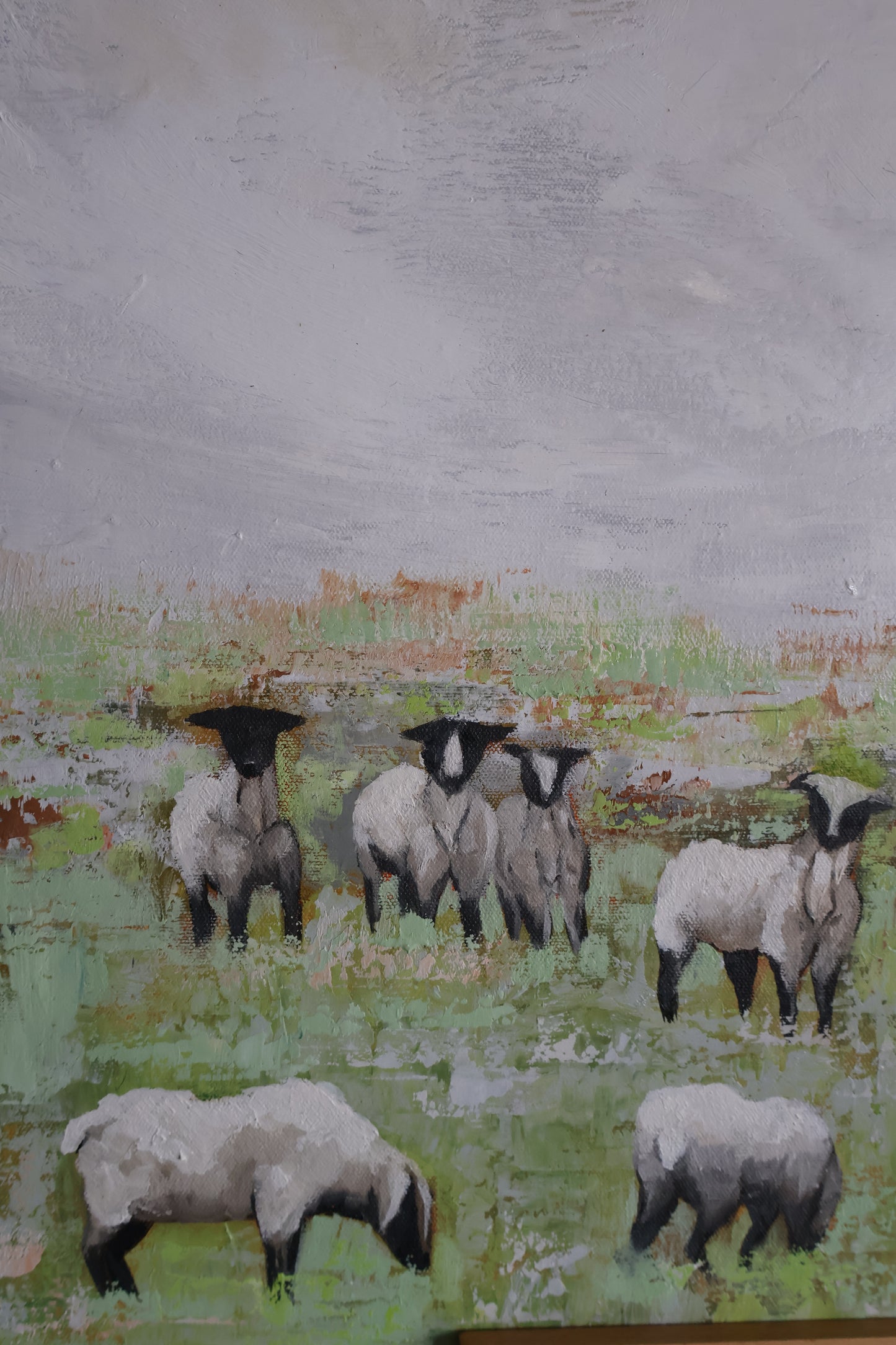 Shepherd's Field