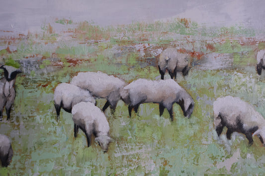 Shepherd's Field