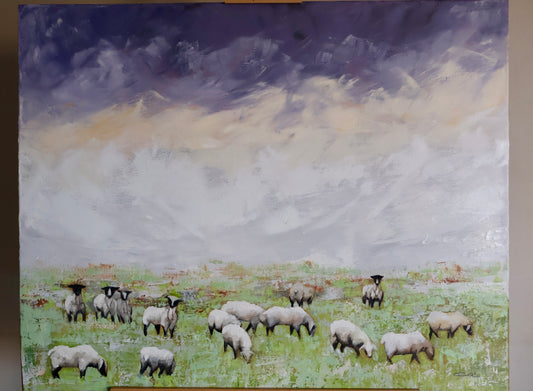 Shepherd's Field