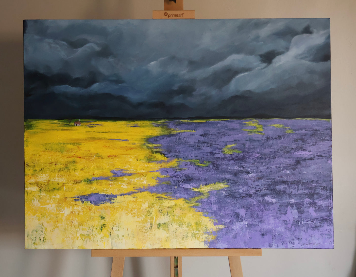Stormy Field