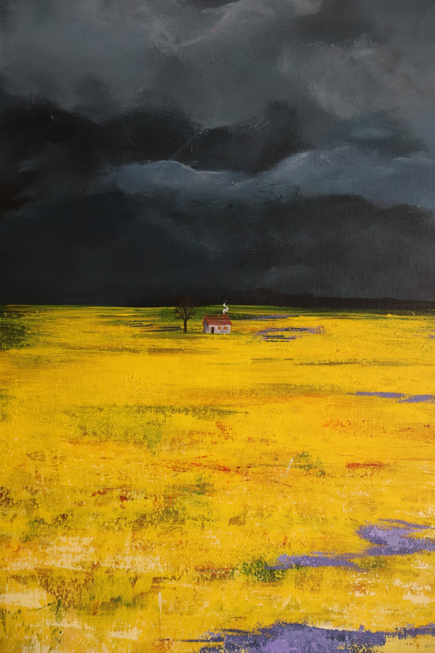 Stormy Field