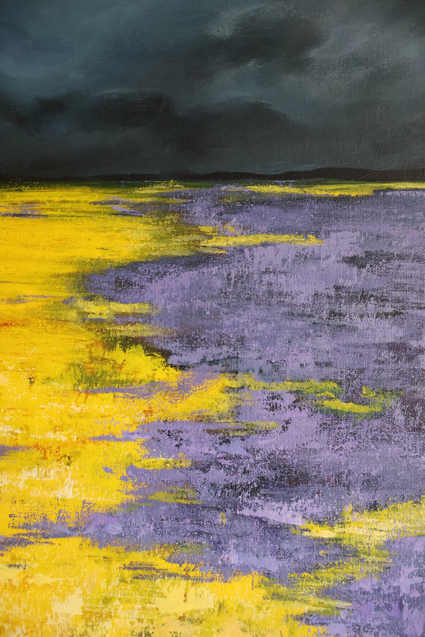 Stormy Field
