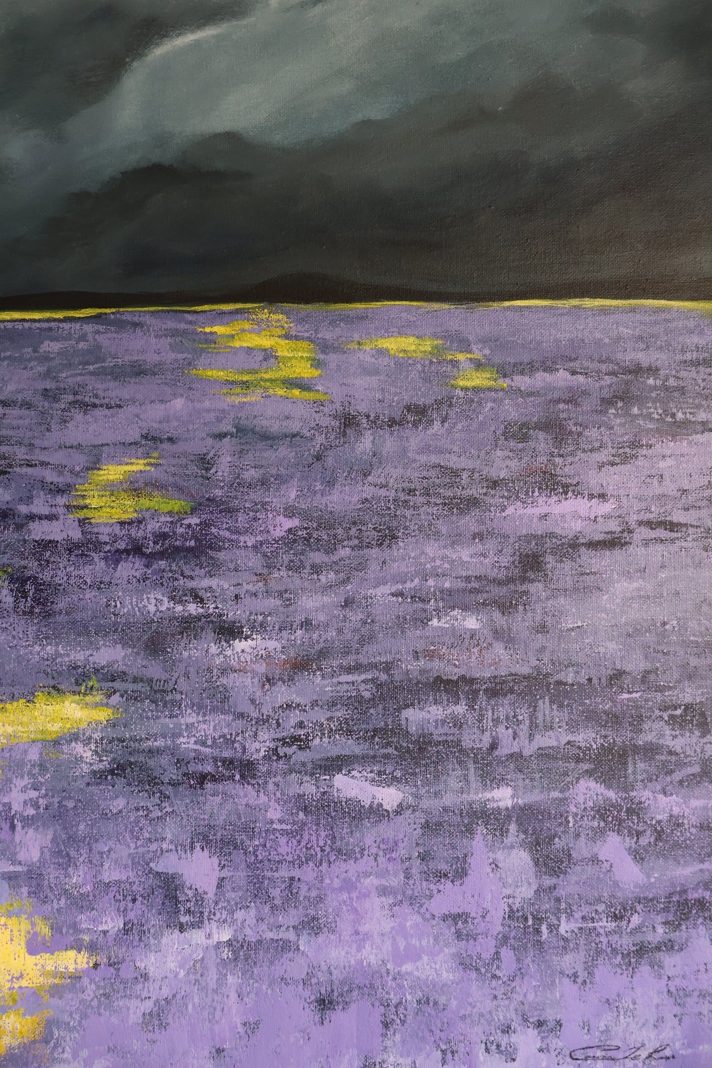 Stormy Field
