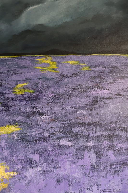 Stormy Field