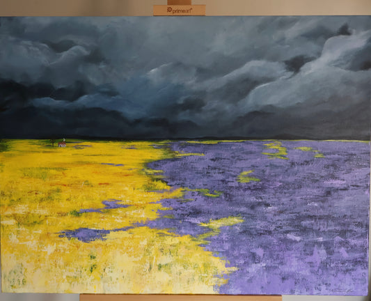 Stormy Field